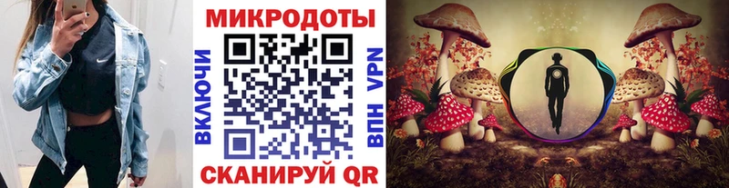 Купить  Артёмовск  Псилоцибиновые грибы Magic Shrooms 